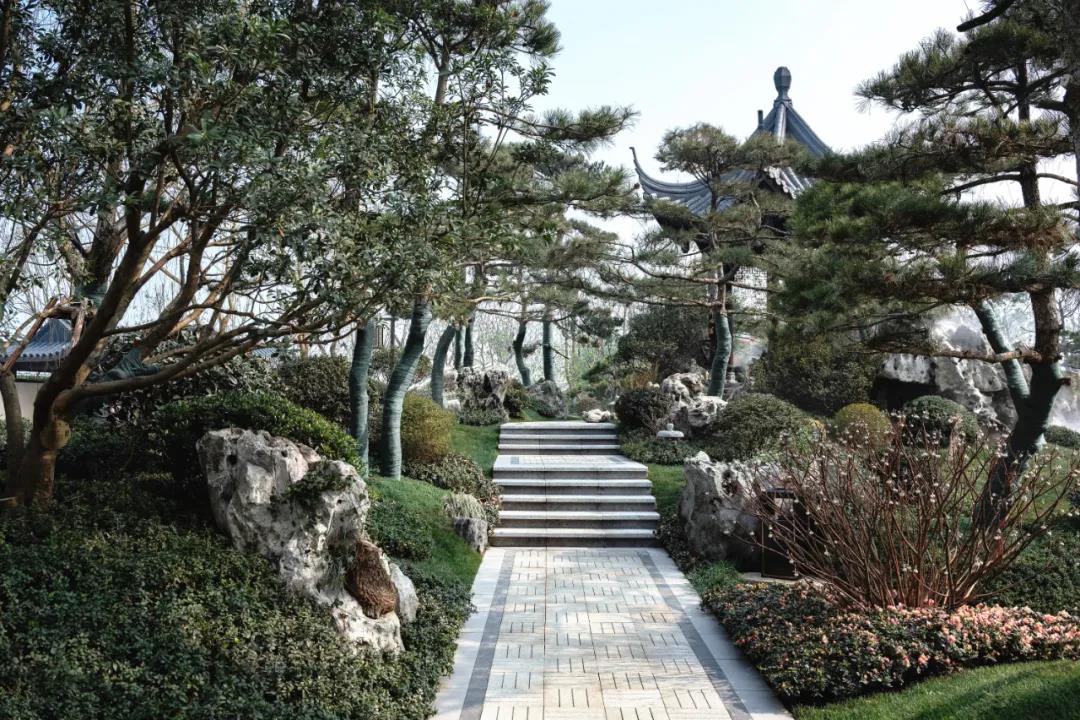 20210927/af5e2b4861b2b6ee9d94d53e9d010fa359a76b36.jpeg 20210927/af5e2b4861b2b6ee9d94d53e9d010fa359a76b36.jpeg