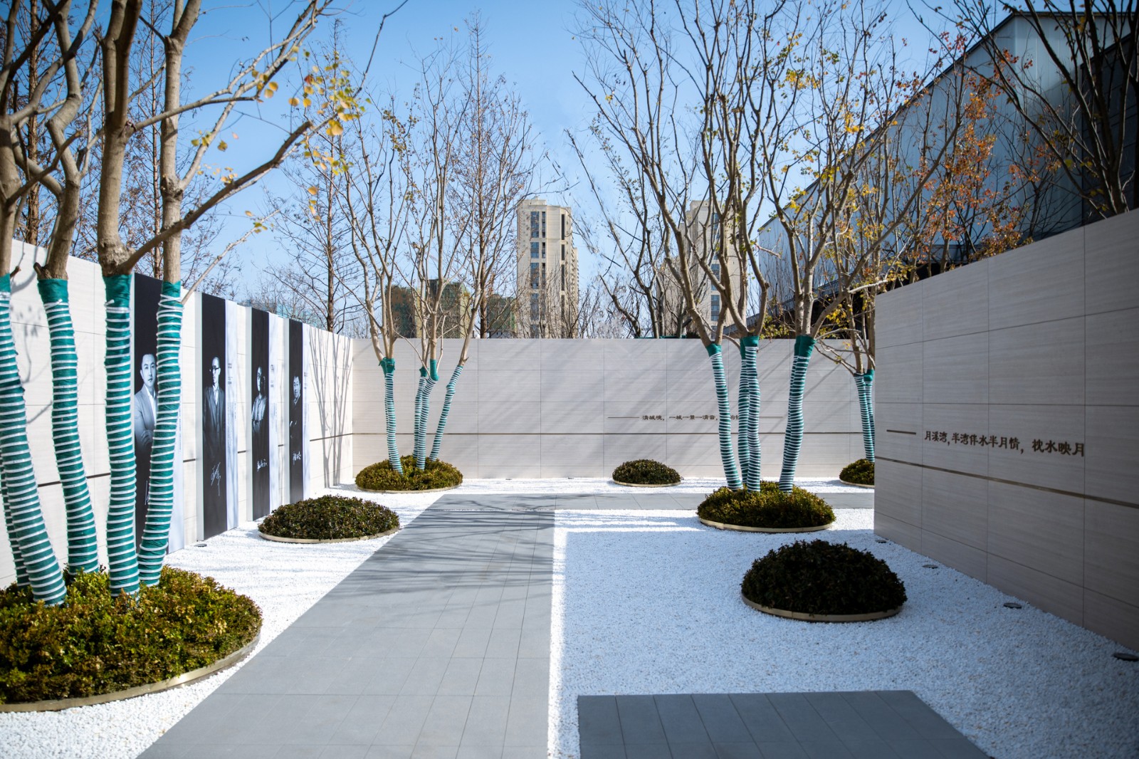 项目展示